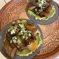 Oyster   at Chorrito Sauce Co in Edinburgh