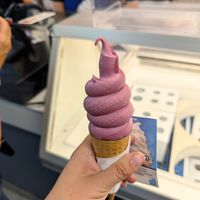 Crème molle vegan aux cerises at L'avalanche Des Glaces BAR LAITIER in Sainte-anne-des-plaines