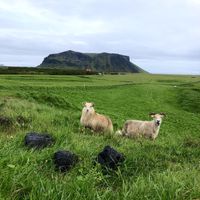 View from the property   at Eystri-Solheimar in Vik