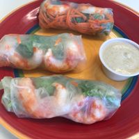 Spring rolls at Health Bistro in Gainesville