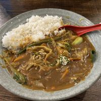 Vegetable curry  at Sushi n Co in Katoomba