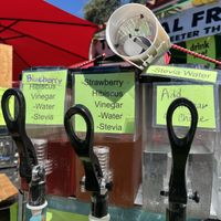 Vegan Fruit Vinegar Drinks  at Delray Green Market in Delray Beach