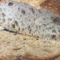 Hexham sourdough   at The Grateful Bread Bakery in Hexham