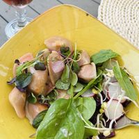 Vegan dumplings with coconut + sesame sauce   at Müüriääre Kohvik in Haapsalu