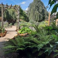 Lovely back garden with tables, and tables out front as well. at Peacocks Tearoom in Ely