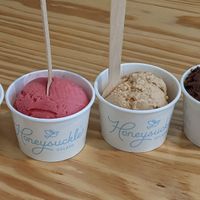 Lemon sorbet, raspberry sorbet, peanut butter, chocolate brownie chunk. at Honeysuckle Gelato Optimist Hall in Charlotte