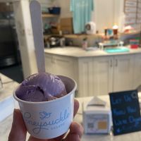 Honeysuckle - Ube vegan ice cream  at Honeysuckle Gelato Optimist Hall in Charlotte