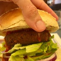  at Konoba Baća  in Ston