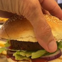  at Konoba Baća  in Ston