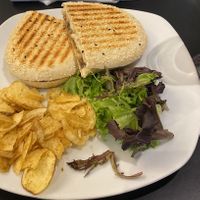 Garlic Mushroom and Vegan Cheese Panini   at Hot Gossip in Treorchy
