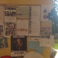 Bulletin board at L Edy Pizza in Ponte Tresa