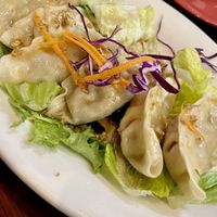 Dumplings  at Thai Heritage & Vegan - Nob Hill in Albuquerque