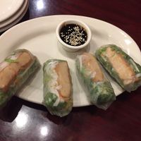 Freshy rolls amazing !  at Thai Heritage & Vegan - Nob Hill in Albuquerque