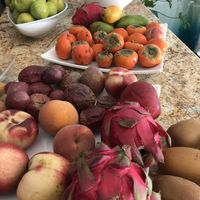   at Plant Powered Adventure in Columbia