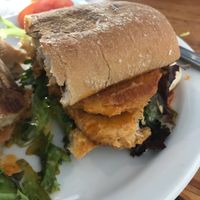 Buffalo chicken sandwich at Green New American Vegetarian in Tempe