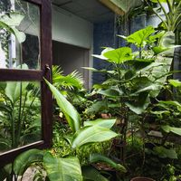  at Thong Dong in Nha Trang