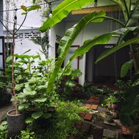  at Thong Dong in Nha Trang