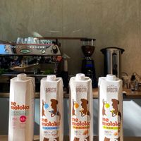 Vegan milk for coffee: oat, coconut, almond, soy at 202 °F - Alternative Coffee Brewing in Yerevan