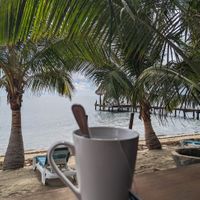 View from restaurant at Chef Rob's Gourmet Café in Hopkins