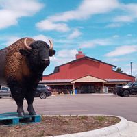 Cool Animals Everywhere! at Golden Harvest Market in Merrill