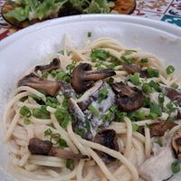 Pasta com cogumelos 🍄 e saladinha orgânica at Orango Mango in Bauru