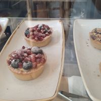  at botànic in Barcelona