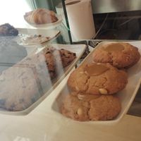  at botànic in Barcelona