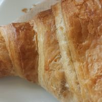  at botànic in Barcelona