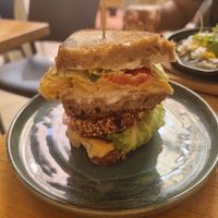 Tortilha at botànic in Barcelona