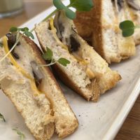 3 mature cheese and mushroom toastie  at botànic in Barcelona