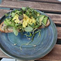 Avo toast at botànic in Barcelona