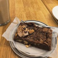 Brownie at botànic in Barcelona