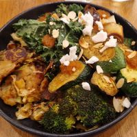 Trinxat de verdura at botànic in Barcelona