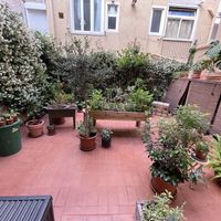   at botànic in Barcelona