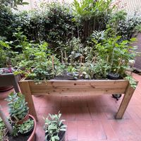   at botànic in Barcelona