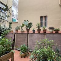   at botànic in Barcelona