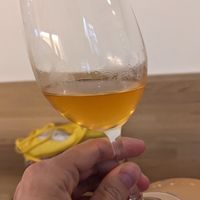 Orange wine at botànic in Barcelona