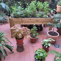  at botànic in Barcelona