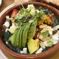   at botànic in Barcelona