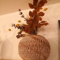 Loved these at botànic in Barcelona