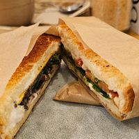 Bikinis at botànic in Barcelona