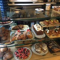 The disk!  at botànic in Barcelona