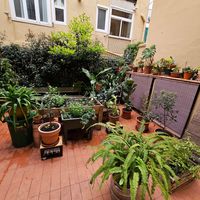  at botànic in Barcelona