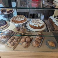  at botànic in Barcelona