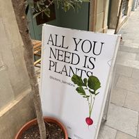   at botànic in Barcelona