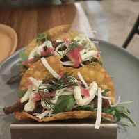 Tacos at botànic in Barcelona