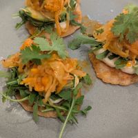  at botànic in Barcelona