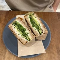   at botànic in Barcelona