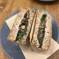   at botànic in Barcelona