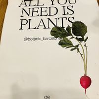 Menu  at botànic in Barcelona